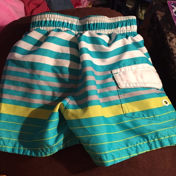 Swim Trunks - Picture 2 of 3